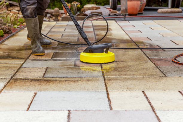 Best Pool Deck Cleaning  in Orlovista, FL